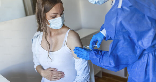 premium_photo-1661769477386-3efcce39324a